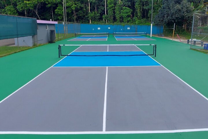 Vega Alta Pickleball Family
